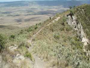 The Rim Trail